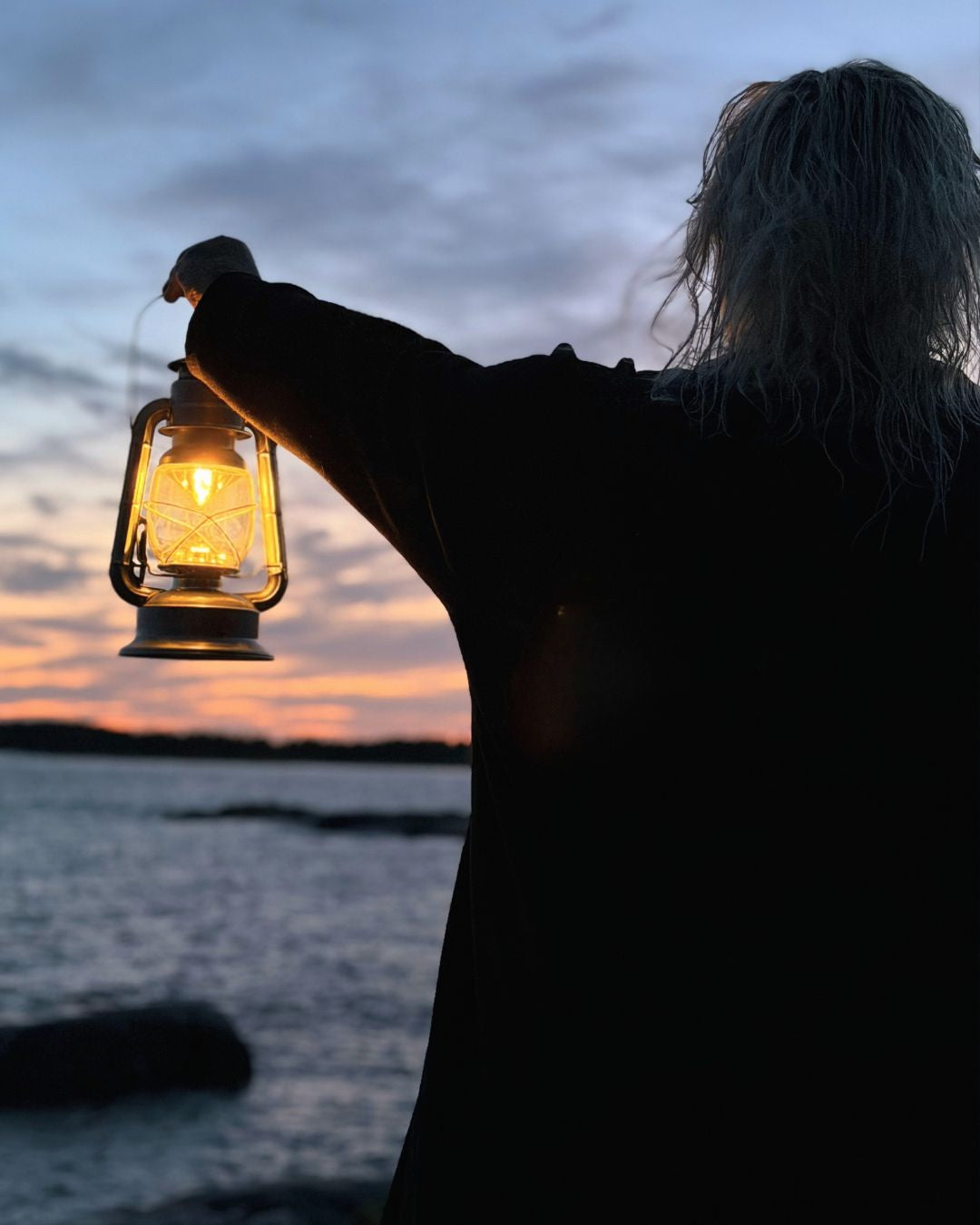 Bladderwrack, the Treasure of the Nordic Archipelago for Your Skin