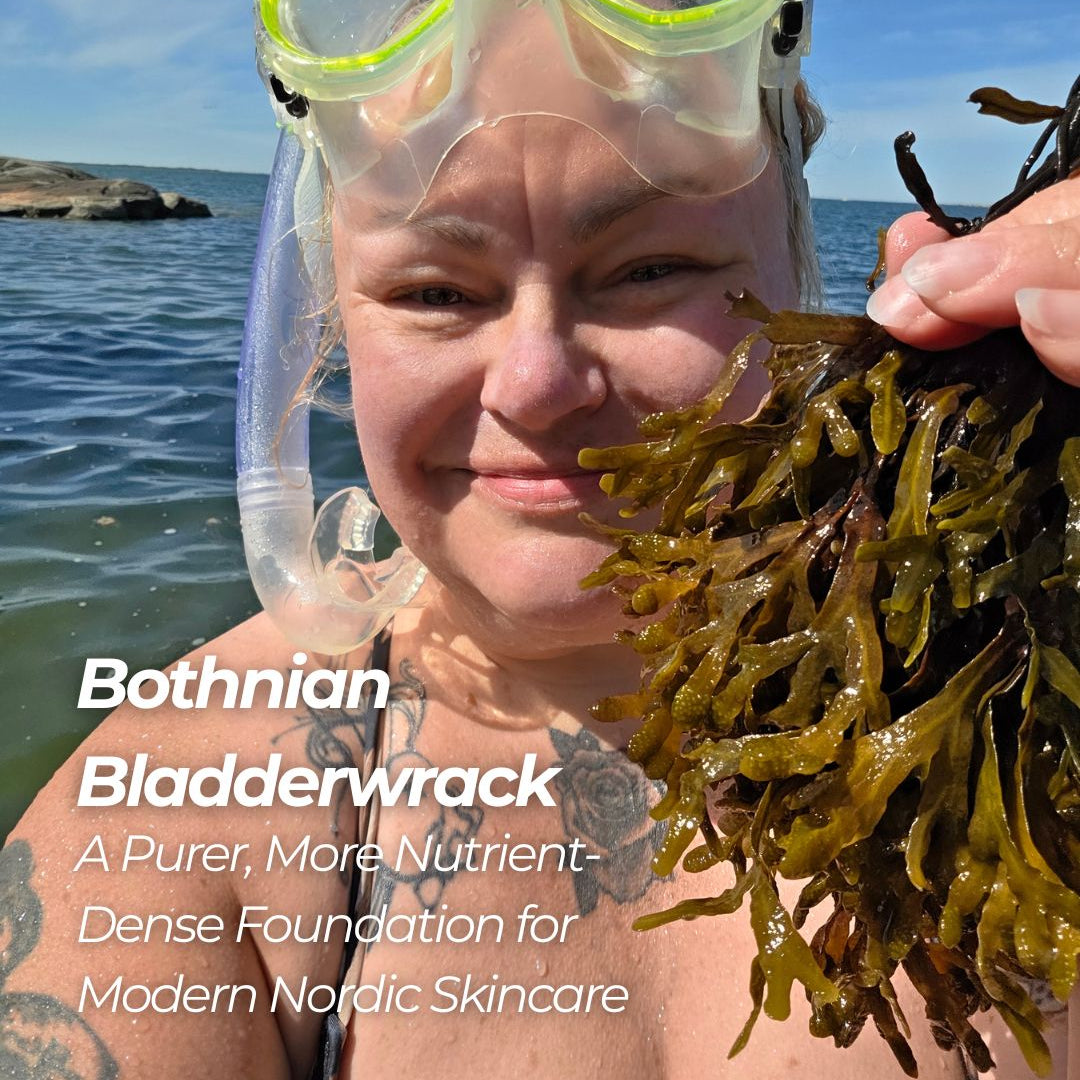 Baltic Bladderwrack: A Cleaner, More Nutrient-Dense Foundation for Modern Nordic Skincare