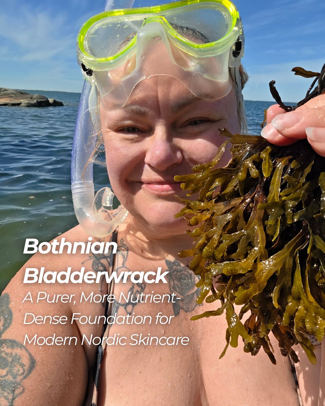 Baltic Bladderwrack: A Cleaner, More Nutrient-Dense Foundation for Modern Nordic Skincare