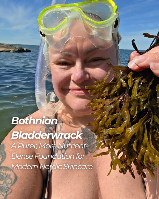 Baltic Bladderwrack: A Cleaner, More Nutrient-Dense Foundation for Modern Nordic Skincare