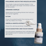 Key ingredients of Saaren Taika Hyaluronic Acid Serum: hyaluronic acid in two molecular sizes, ceramide complex, ectoin, centella asiatica, Fucus DuoActive and Fucus Fusion