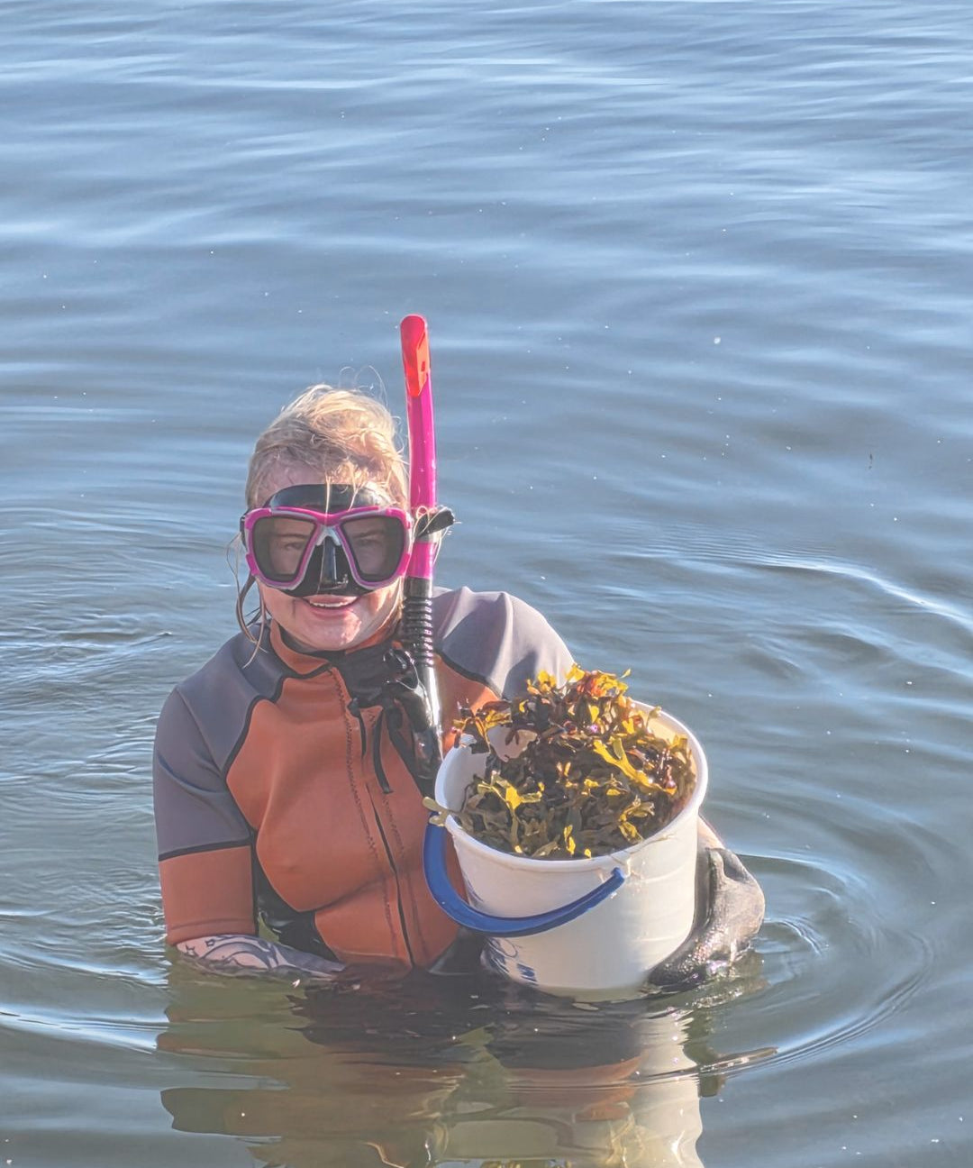 Hand-harvesting bladderwrack seaweed in the Finnish archipelago sea, the Saaren Taika family business story