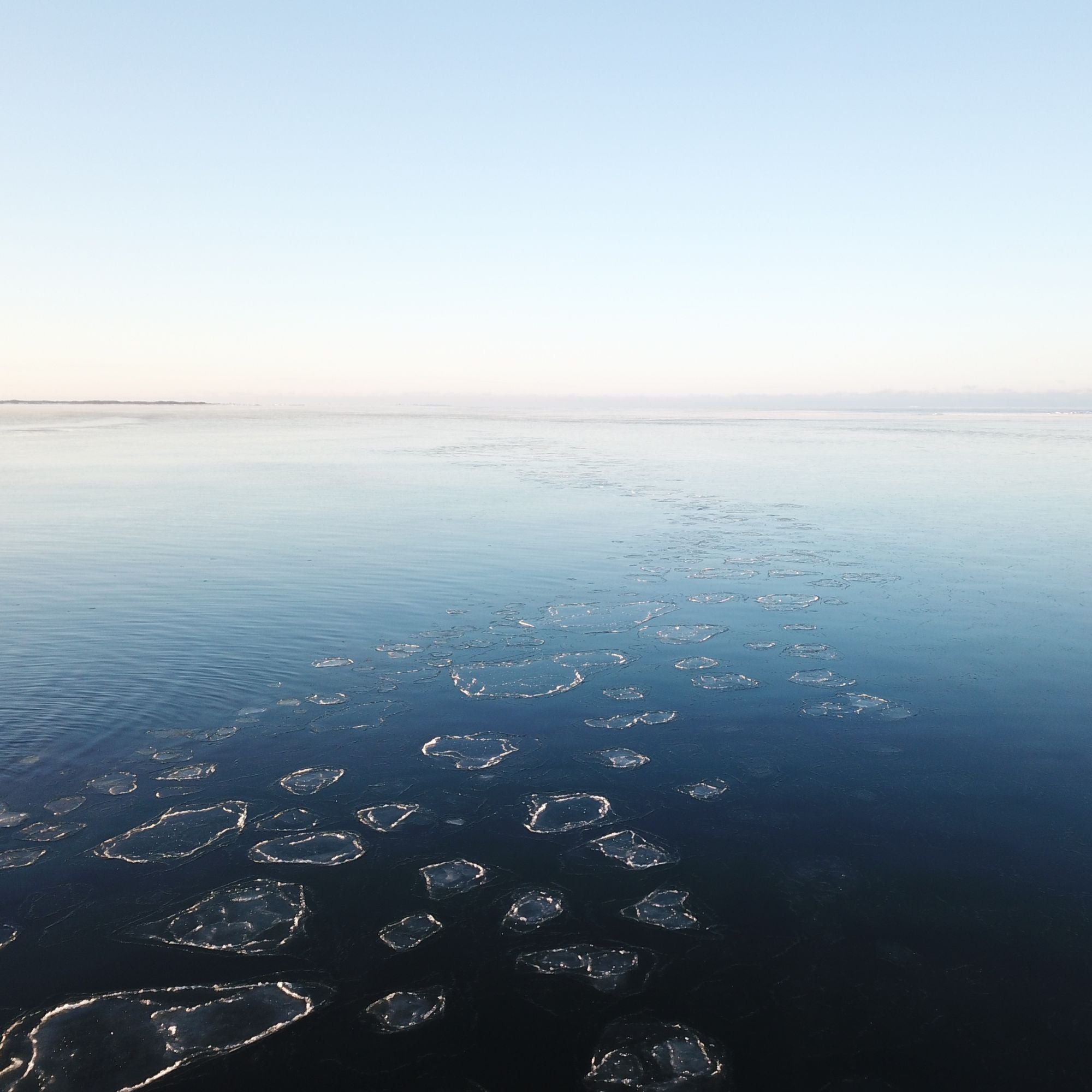 Aerial view of the calm Finnish archipelago sea in winter, where Saaren Taika bladderwrack grows